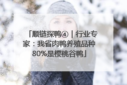顺链探鸭④｜行业专家：我省肉鸭养殖品种80%是樱桃谷鸭