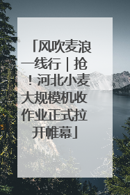 风吹麦浪一线行｜抢！河北小麦大规模机收作业正式拉开帷幕