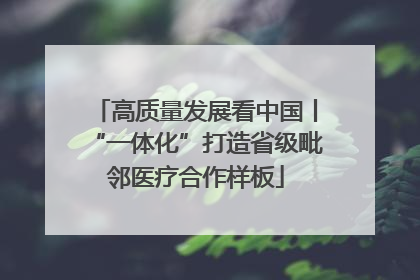 高质量发展看中国丨“一体化”打造省级毗邻医疗合作样板