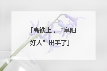 高铁上，“阜阳好人”出手了