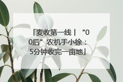麦收第一线丨“00后”农机手小徐：5分钟收完一亩地