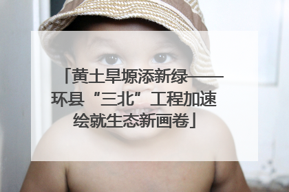 黄土旱塬添新绿——环县“三北”工程加速绘就生态新画卷