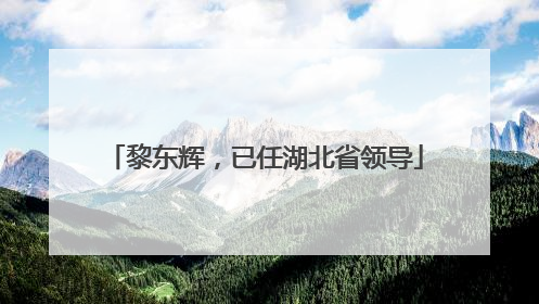 黎东辉，已任湖北省领导