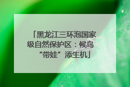 黑龙江三环泡国家级自然保护区：候鸟“带娃”添生机