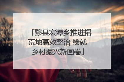黟县宏潭乡推进撂荒地高效整治 绘就乡村振兴新画卷