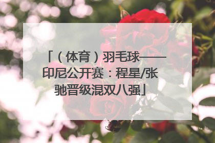 （体育）羽毛球——印尼公开赛：程星/张驰晋级混双八强