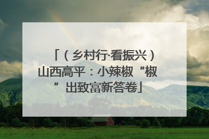 （乡村行·看振兴）山西高平：小辣椒“椒”出致富新答卷