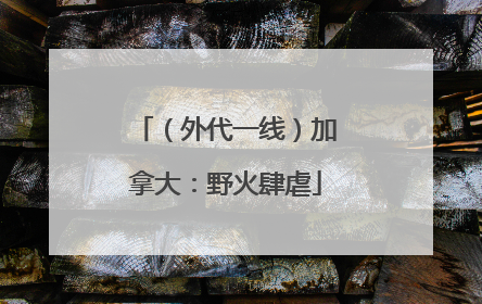 （外代一线）加拿大：野火肆虐