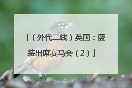 （外代二线）英国：盛装出席赛马会（2）