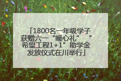 1800名一年级学子获赠六一“暖心礼” “希望工程1+1”助学金发放仪式在川举行