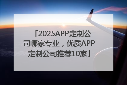 2025APP定制公司哪家专业，优质APP定制公司推荐10家