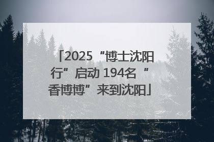 2025“博士沈阳行”启动 194名“香博博”来到沈阳