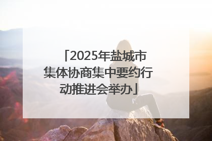 2025年盐城市集体协商集中要约行动推进会举办