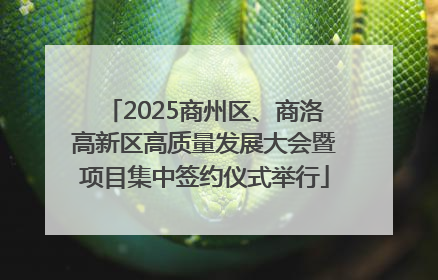 2025商州区、商洛高新区高质量发展大会暨项目集中签约仪式举行