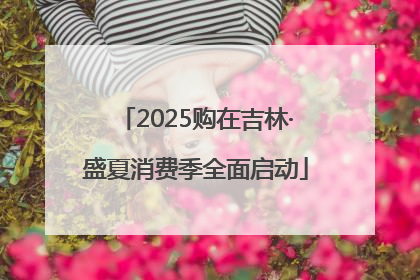 2025购在吉林·盛夏消费季全面启动