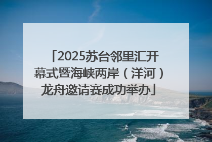 2025苏台邻里汇开幕式暨海峡两岸（洋河）龙舟邀请赛成功举办