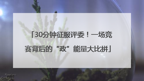 30分钟征服评委！一场竞赛背后的“政”能量大比拼