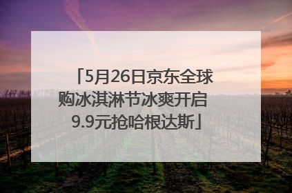 5月26日京东全球购冰淇淋节冰爽开启 9.9元抢哈根达斯