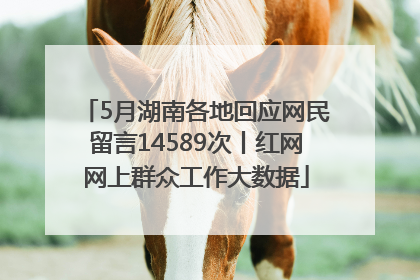 5月湖南各地回应网民留言14589次丨红网网上群众工作大数据