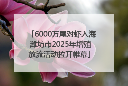 6000万尾对虾入海 潍坊市2025年增殖放流活动拉开帷幕