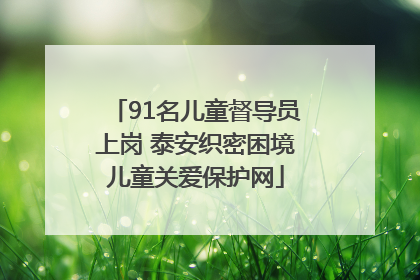 91名儿童督导员上岗 泰安织密困境儿童关爱保护网