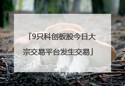 9只科创板股今日大宗交易平台发生交易