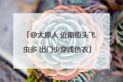 @太原人 近期街头飞虫多 出门少穿浅色衣