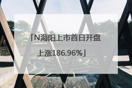 N海阳上市首日开盘上涨186.96%